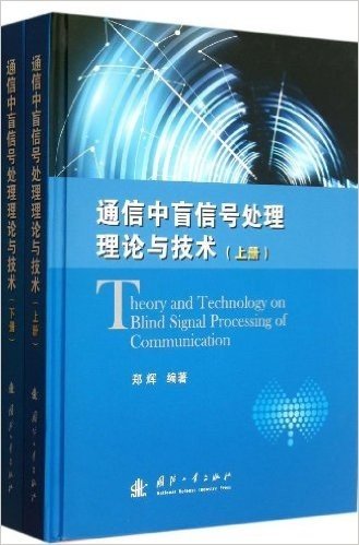 通信中盲信号处理理论与技术(套装共2册)
