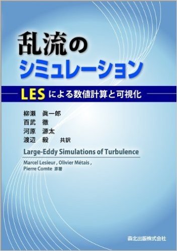 乱流のシミュレーション―LESによる数値計算と可視化