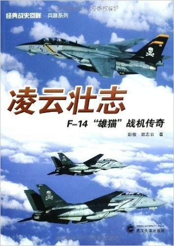 凌云壮志:F-14"雄猫"战机传奇