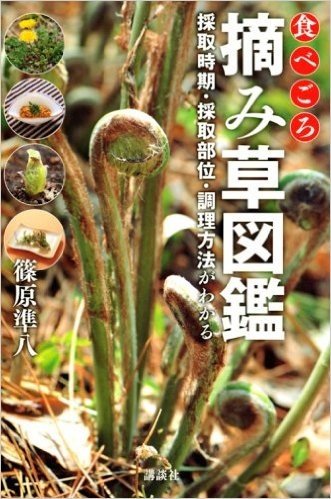 食べごろ 摘み草図鑑 採取時期・採取部位・調理方法がわかる