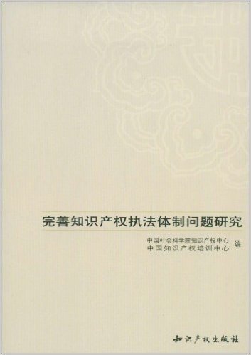 完善知识产权执法体制问题研究