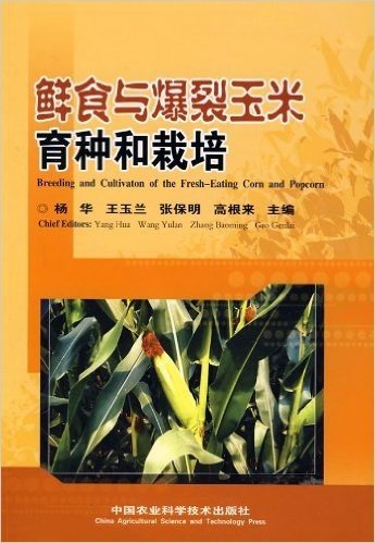 鲜食与爆裂玉米育种和栽培