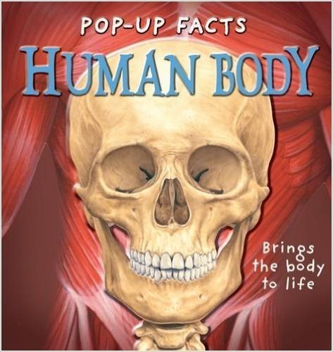 Pop-up Facts: Human Body