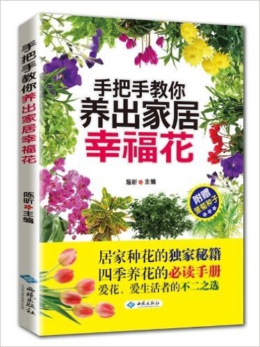 手把手教你养出家居幸福花(附雏菊种子)