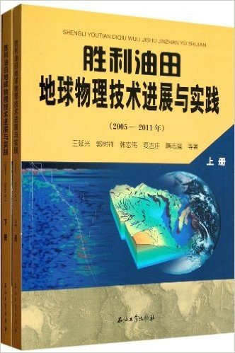 胜利油田地球物理技术进展与实践(2005-2011年)(套装共2册)