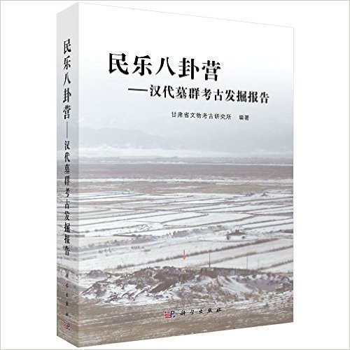 民乐八卦营:汉代墓群考古发掘报告