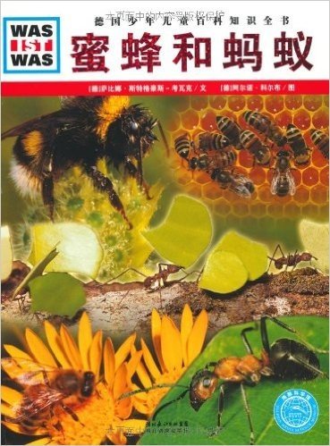 德国少年儿童百科知识全书•WAS IST WAS:蜜蜂和蚂蚁