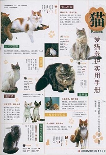 爱猫养护实用手册:猫