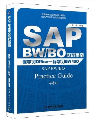 SAP BW/BO实战指南:像学习Office一样学习BW/BO