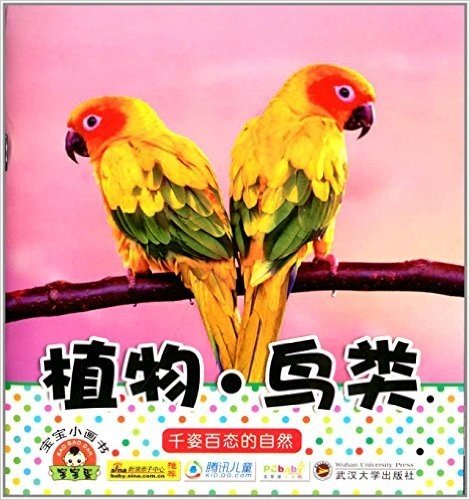 宝宝小画书:植物·鸟类