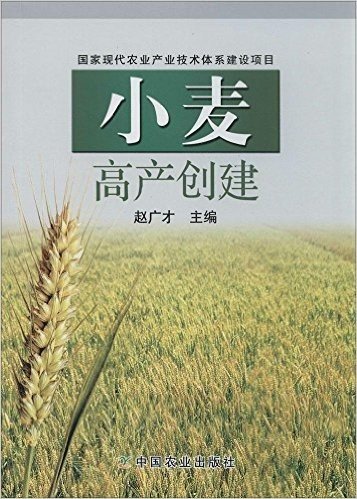 小麦高产创建