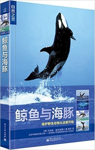 自然之灵:鲸鱼与海豚