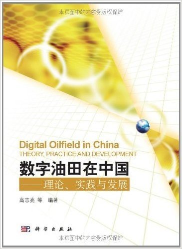 数字油田在中国:理论、实践与发展