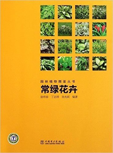 园林植物图鉴丛书:常绿花卉