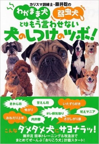 カリスマ訓練士·藤井聡のわがまま犬弱虫犬とはもう言わせない犬のしつけのツボ!