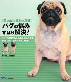 パグの悩みずばり解決! 『困った』が根本から治る!! いい子に育てるための疑問にお答え 問題、疑問、不安がすべて解消!!