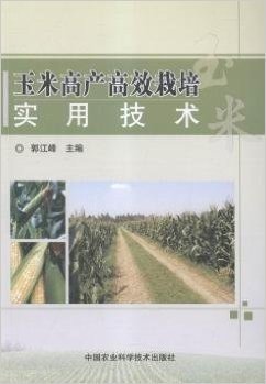 玉米高产高效栽培实用技术