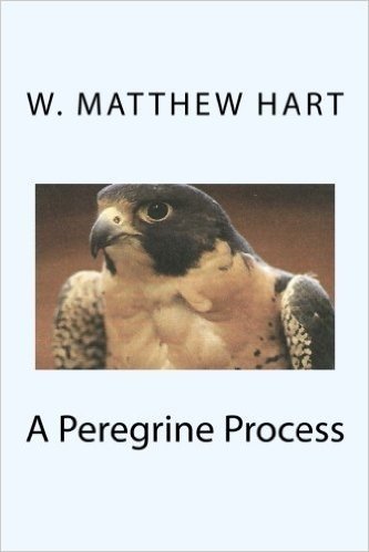 A Peregrine Process