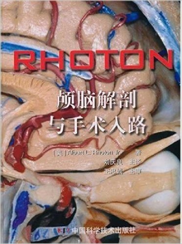 RHOTON:颅脑解剖与手术入路