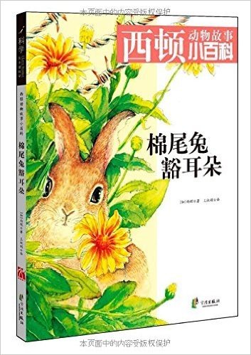 西顿动物故事小百科:棉尾兔豁耳朵
