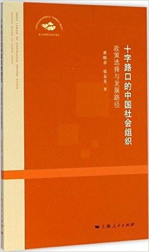 十字路口的中国社会组织：政策选择与发展路径