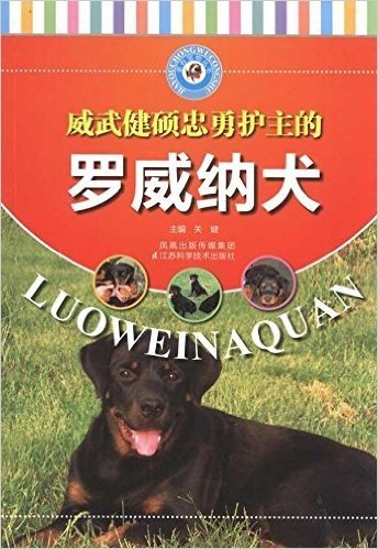 威武健硕忠勇护主的罗威纳犬