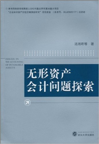 无形资产会计问题探索