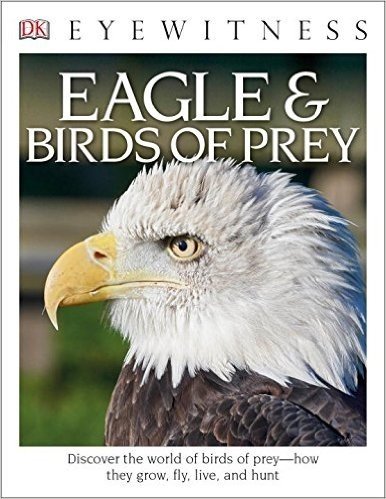 DK Eyewitness Books: Eagle & Birds of Prey