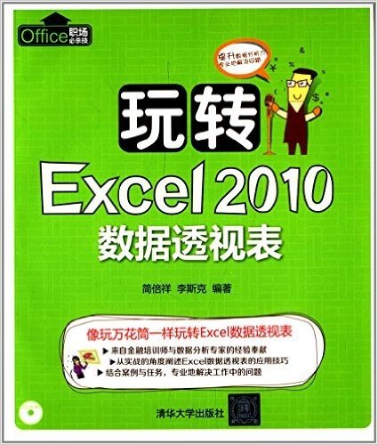 玩转Excel2010数据透视表(附光盘)