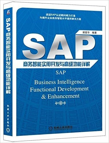 SAP 商务智能实用开发与高级功能详解