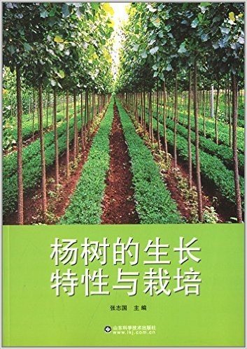 杨树的生长特性与栽培