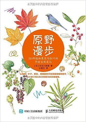 原野漫步:250种植物果实与红叶的手绘自然笔记