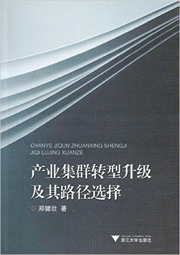 产业集群转型升级及其路径选择