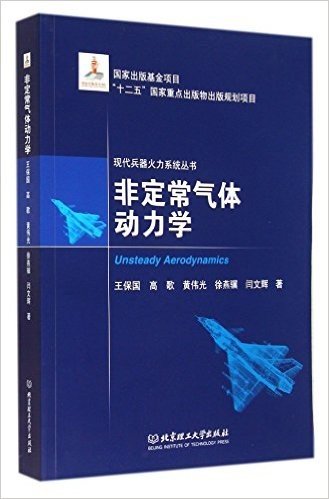 非定常气体动力学/现代兵器火力系统丛书
