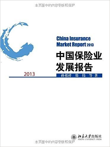 中国保险业发展报告(2013)