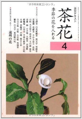 茶花:季節の花を入れる(4)