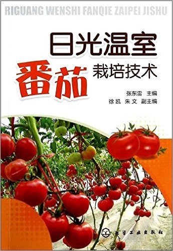 日光温室番茄栽培技术