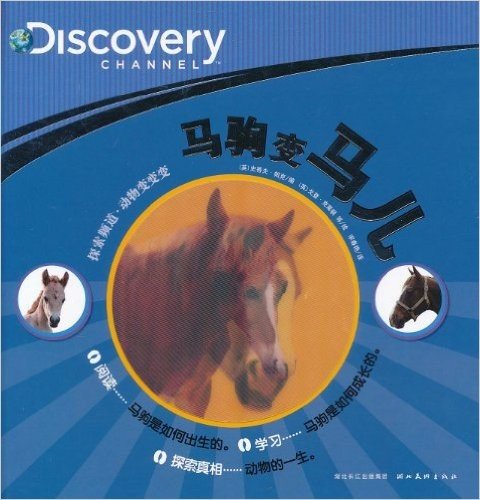 心喜阅童书·Discovery·动物变变变:马驹变马儿