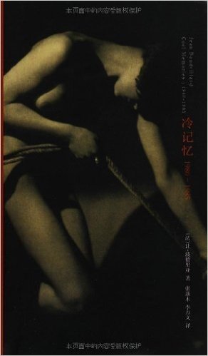 棱镜精装人文译丛:冷记忆(1980-1985)