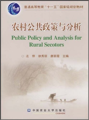 农村公共政策与分析