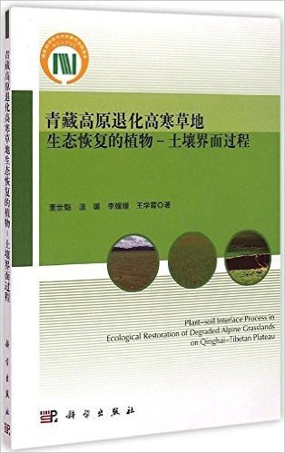 青藏高原退化高寒草地生态恢复的植物:土壤界面过程