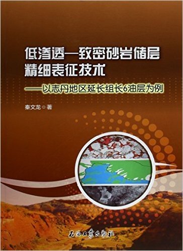 低渗透—致密砂岩储层精细表征技术——以志丹地区延长组长6油层为例