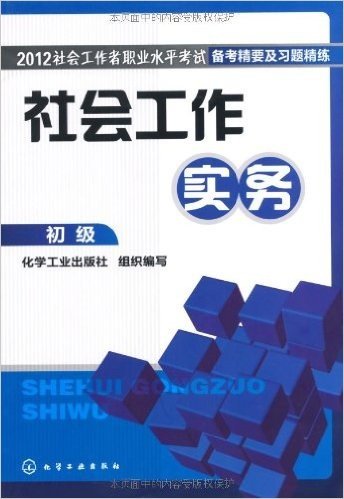 2012社会工作者职业水平考试备考精要及习题精练:社会工作实务(初级)