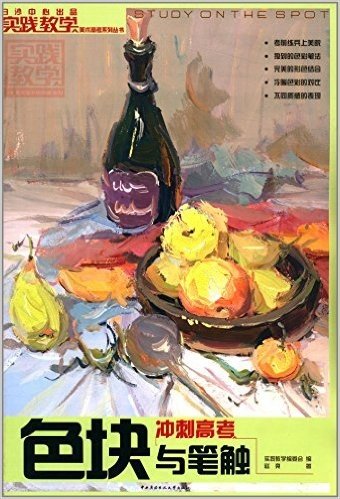 实践教学美术高考系列丛书:色块与笔触