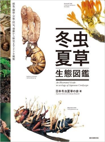 冬虫夏草生態図鑑: 採集・観察・分類・同定、効能から歴史まで 240種類