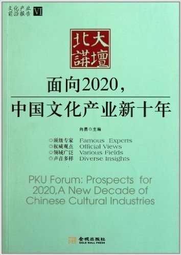 北大讲坛:面向2020,中国文化产业新十年