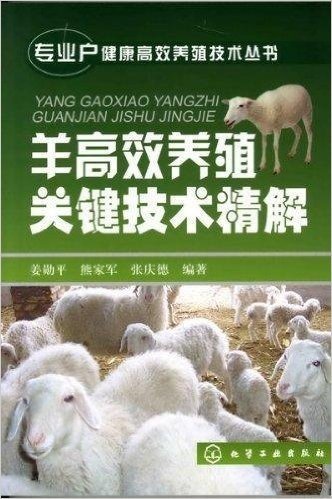 羊高效养殖关键技术精解
