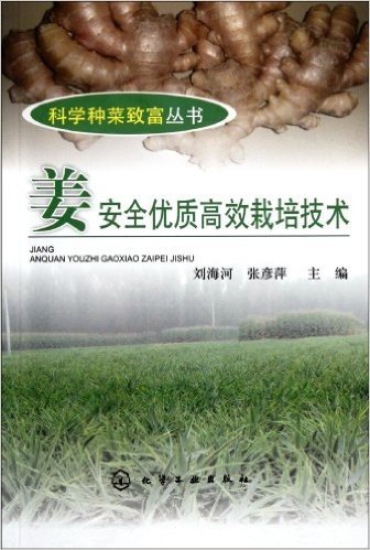 姜安全优质高效栽培技术
