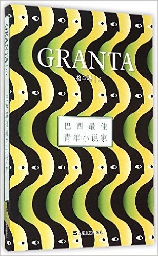 格兰塔·巴西最佳青年小说家