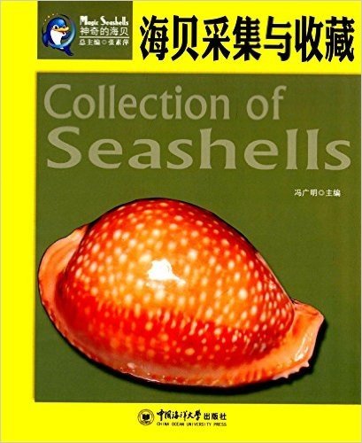 神奇的海贝:海贝采集与收藏